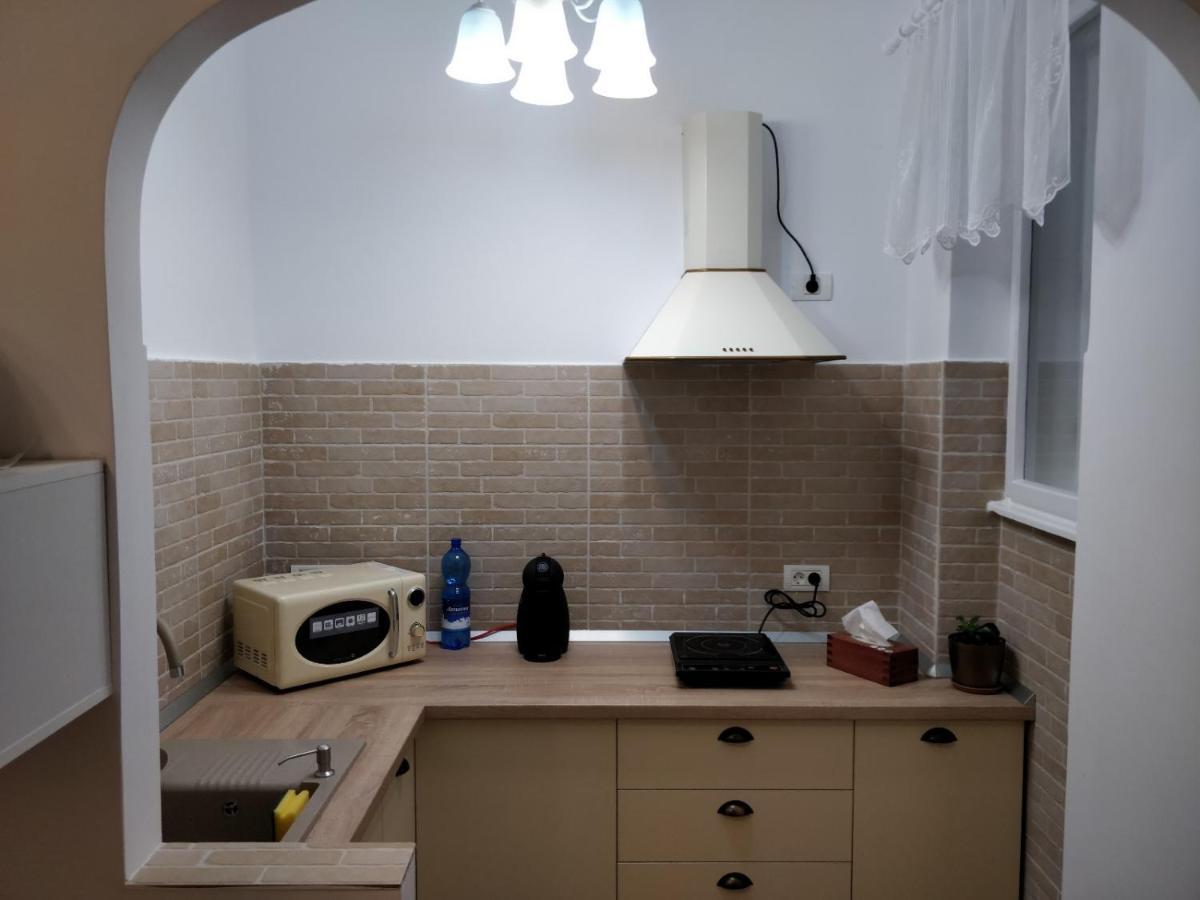 טימישוארה Rozelor Accommodation מראה חיצוני תמונה
