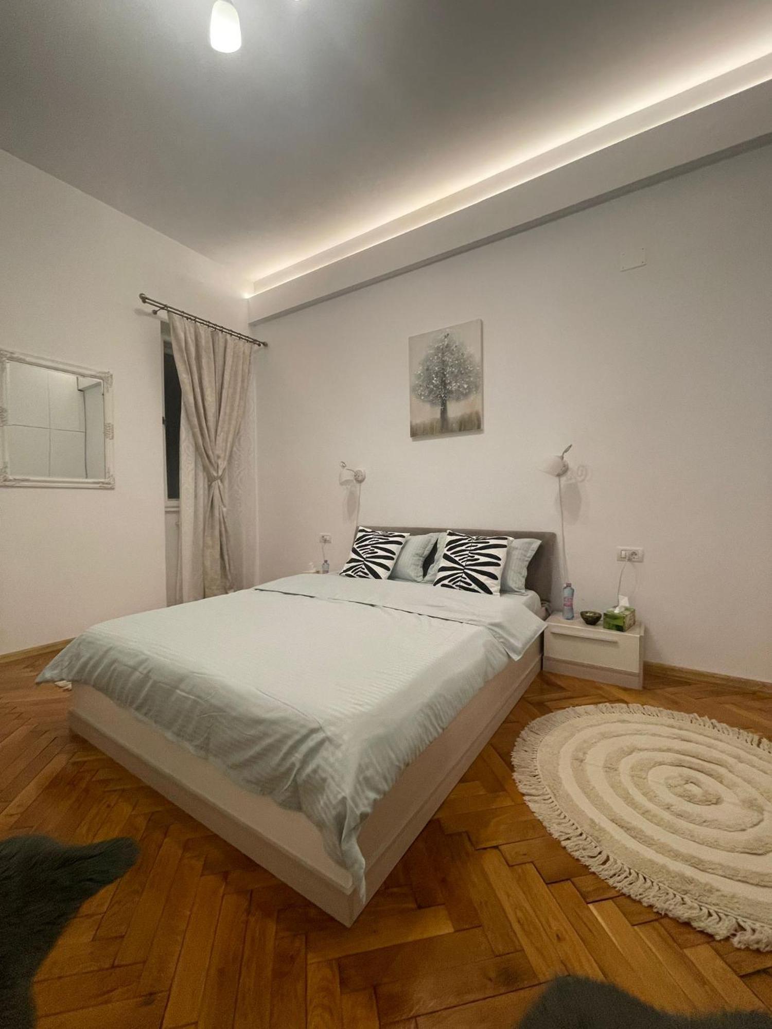 טימישוארה Rozelor Accommodation מראה חיצוני תמונה