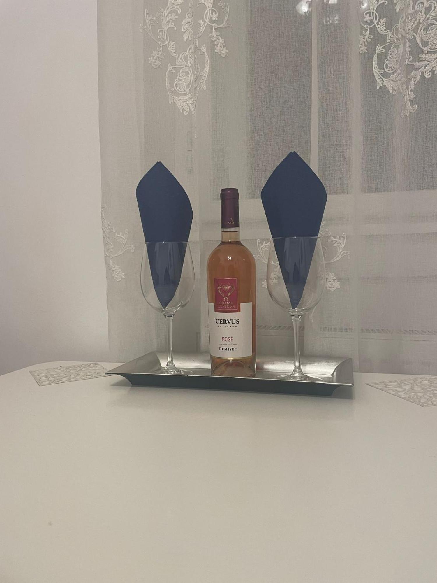 טימישוארה Rozelor Accommodation מראה חיצוני תמונה